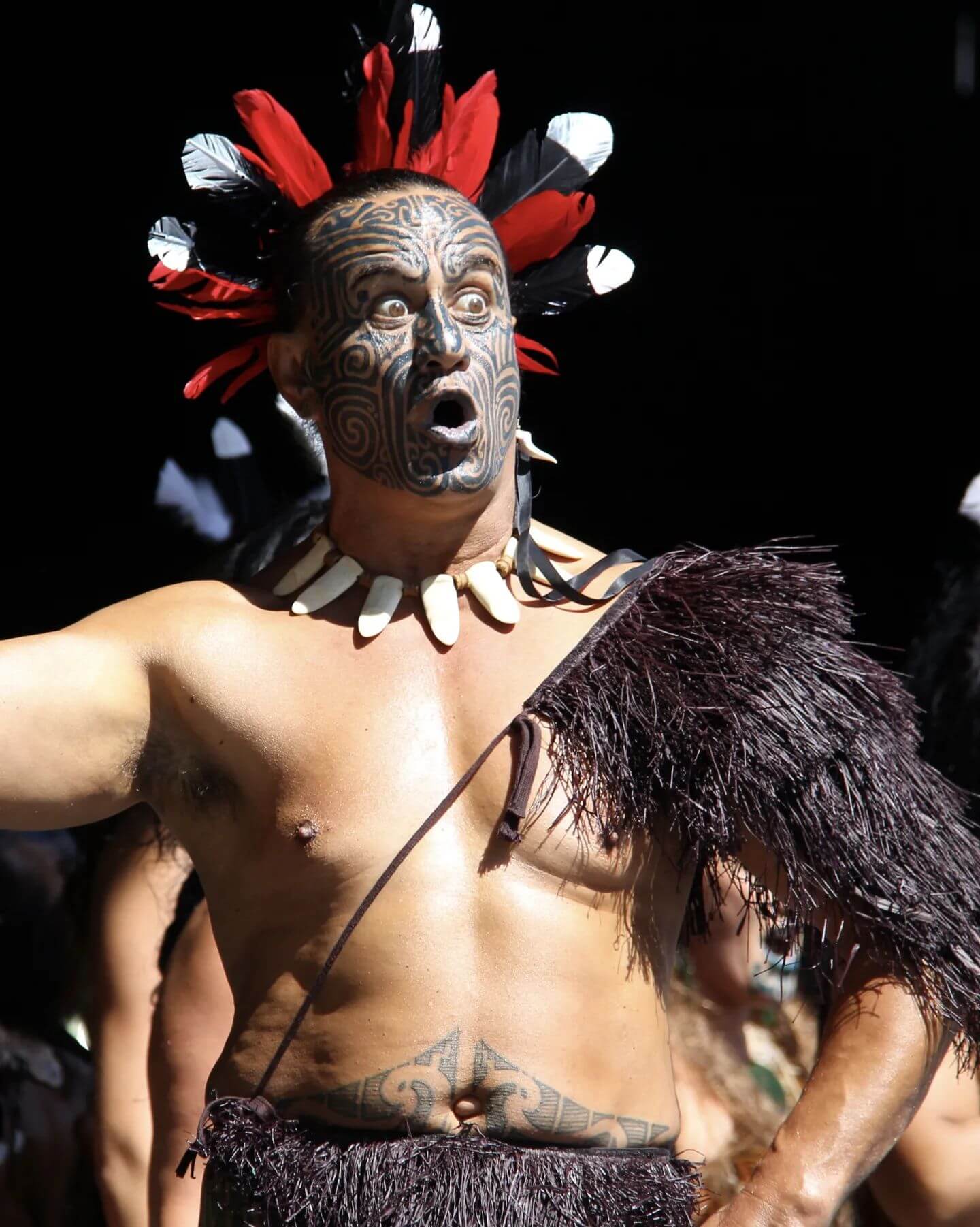 NewZeland-02